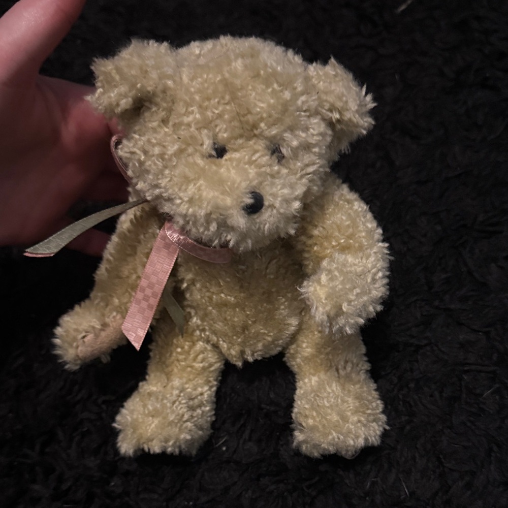 Adorable Cream Teddy Bear Plush